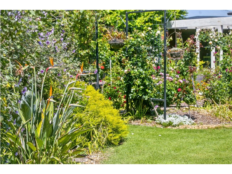 1 Cricklewood Lane, Wallington VIC 3221