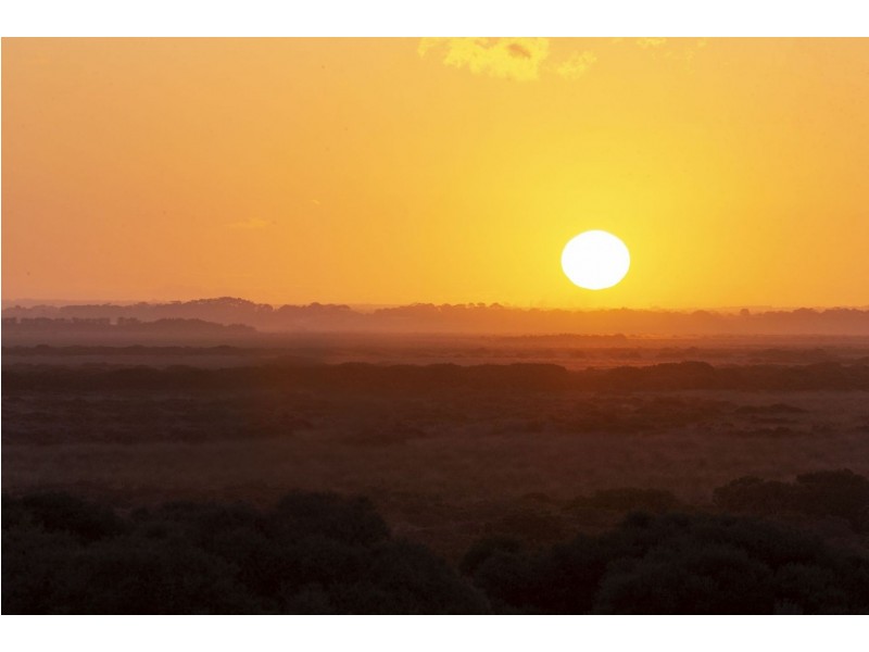 3 Cruickshank Avenue, Ocean Grove VIC 3226