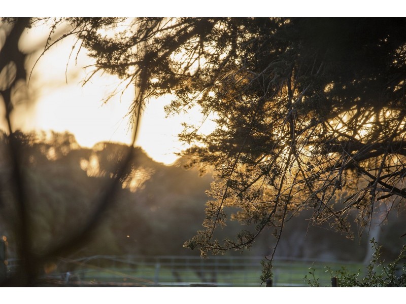 15 Mulgoa Court, Barwon Heads VIC 3227