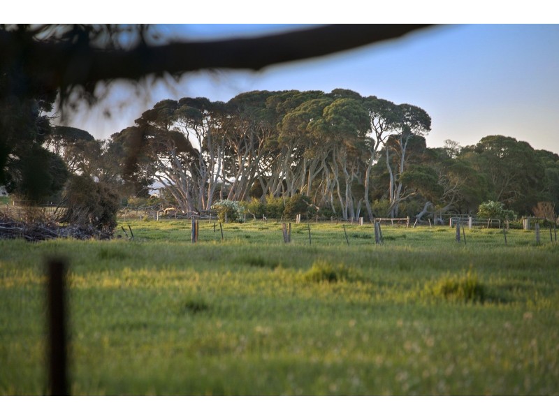 15 Mulgoa Court, Barwon Heads VIC 3227