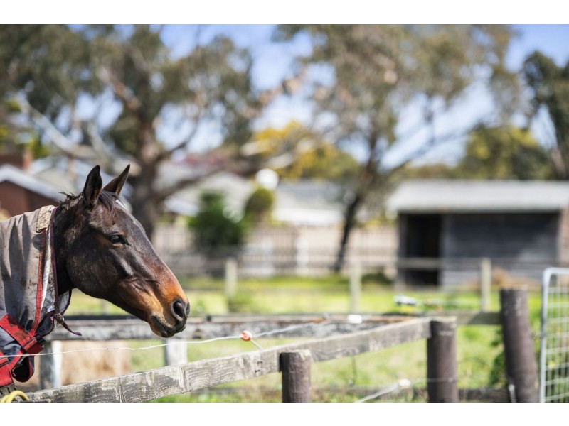 551-569 Bellarine Highway, Moolap VIC 3221