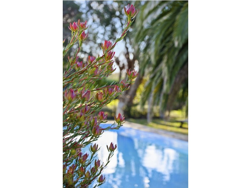 411-419 Wallington Road, Wallington VIC 3221