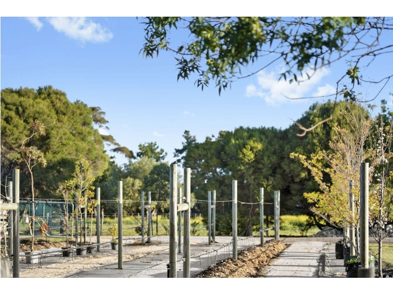 411-419 Wallington Road, Wallington VIC 3221