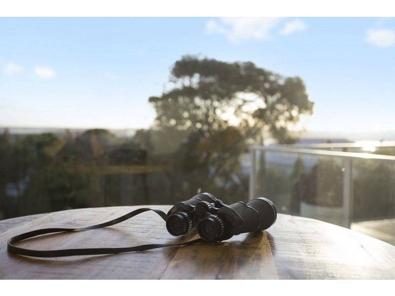 41 The Avenue, Ocean Grove VIC 3226