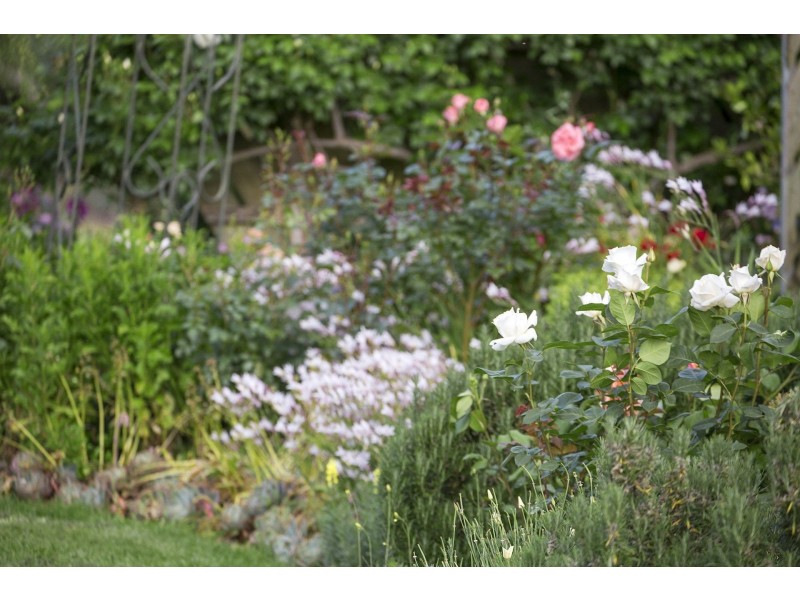 70 Breamlea Road, Connewarre VIC 3227