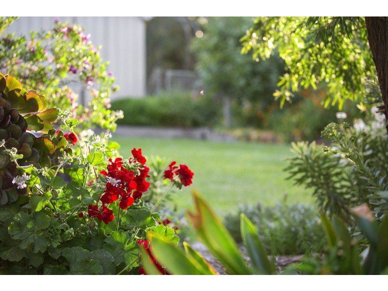 70 Breamlea Road, Connewarre VIC 3227