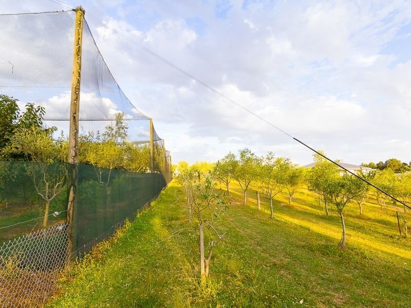 45 Henrys Road, Nyora VIC 3987