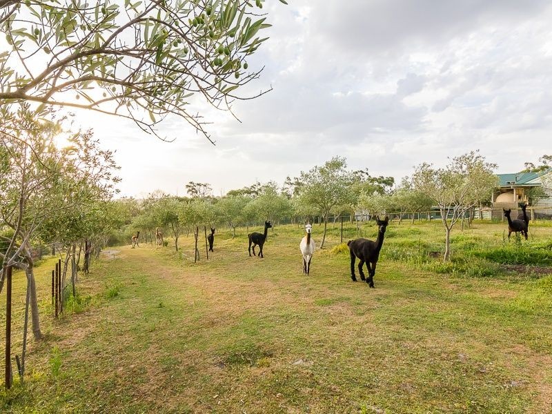 45 Henrys Road, Nyora VIC 3987