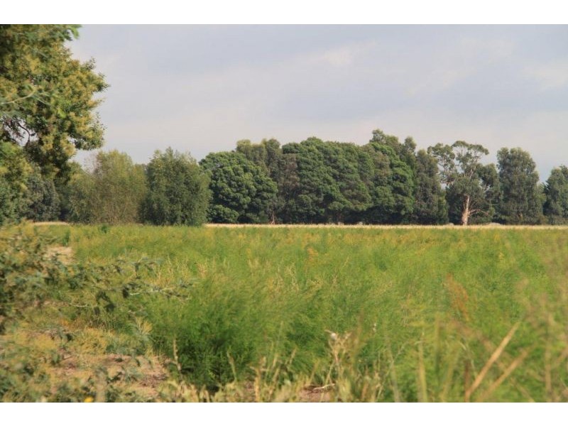 Lot 12 Backhouses Road, Bayles VIC 3981