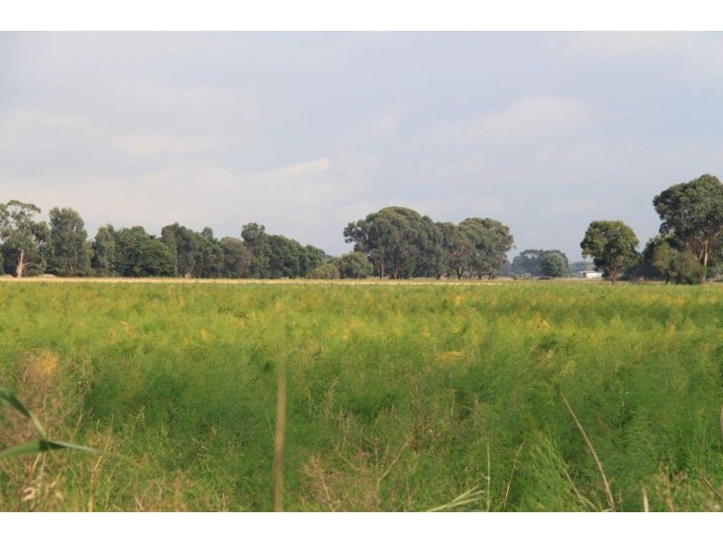 Lot 12 Backhouses Road, Bayles VIC 3981