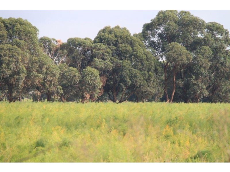 Lot 12 Backhouses Road, Bayles VIC 3981