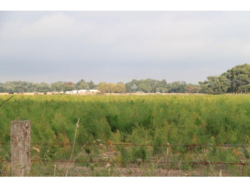 Lot 12 Backhouses Road, Bayles VIC 3981