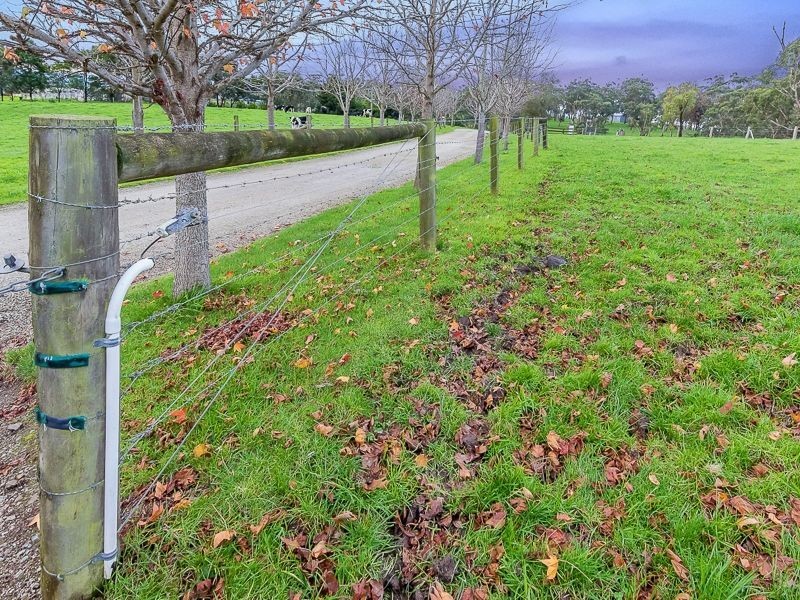 730 Yannathan Road, Nyora VIC 3987