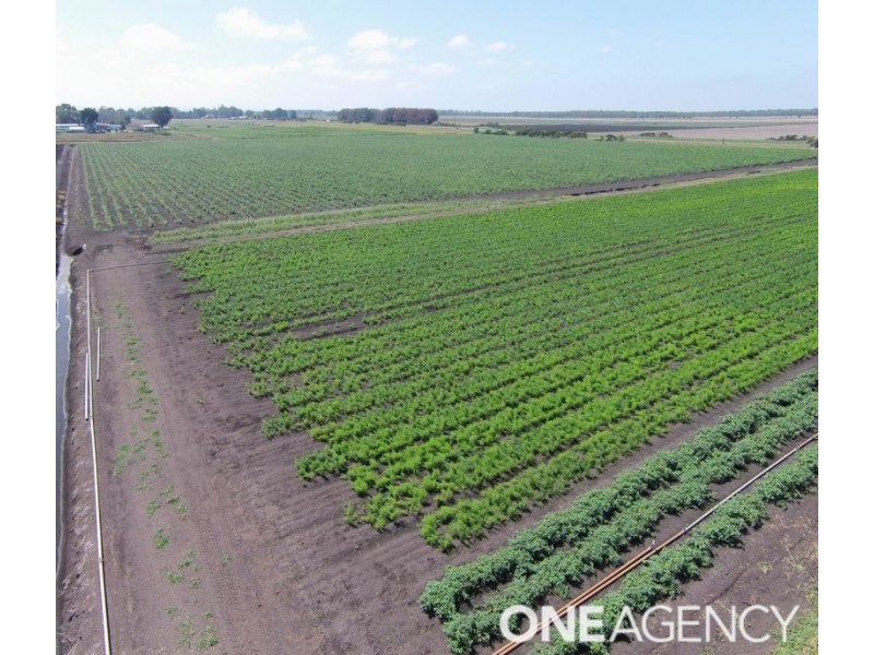 25 Harewood Mains Road, Tooradin VIC 3980