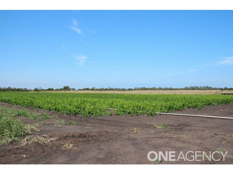 25 Harewood Mains Road, Tooradin VIC 3980