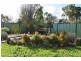 115 Prestons Road, Koo Wee Rup VIC 3981