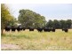 980 Main Drain Road, Bayles VIC 3981