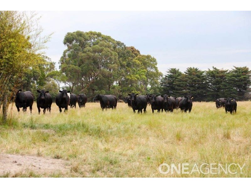 980 Main Drain Road, Bayles VIC 3981