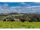 186 St Helena Road, Mcleods Shoot NSW 2479