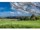 186 St Helena Road, Mcleods Shoot NSW 2479