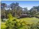 5 Koonyum Range Road, Wilsons Creek NSW 2482