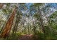 5 Koonyum Range Road, Wilsons Creek NSW 2482