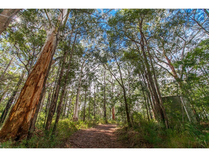 5 Koonyum Range Road, Wilsons Creek NSW 2482