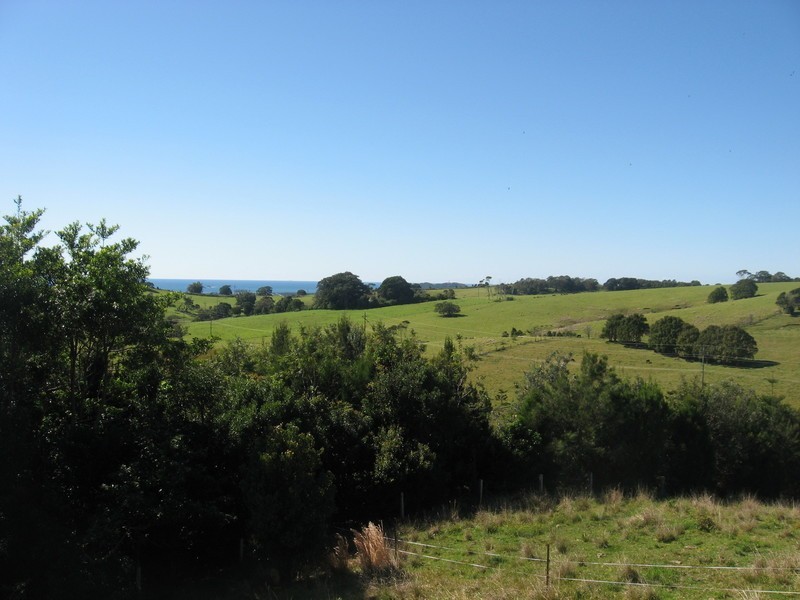 23 Wood Crescent, Coopers Shoot NSW 2479