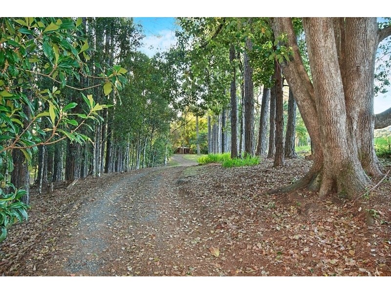 328 Whian Road, Eureka NSW 2480