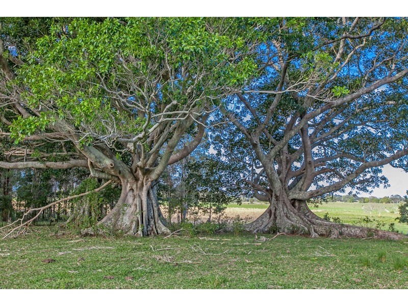 129 Wilsons Creek Road, Mullumbimby NSW 2482