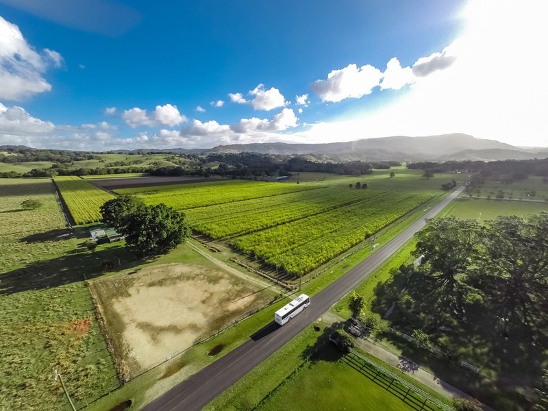 257 Main Arm Road, Mullumbimby NSW 2482