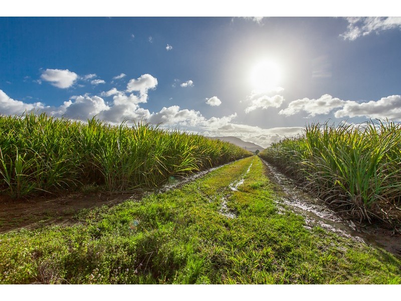 257 Main Arm Road, Mullumbimby NSW 2482