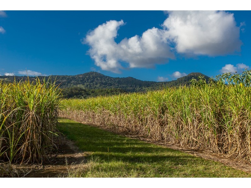 257 Main Arm Road, Mullumbimby NSW 2482