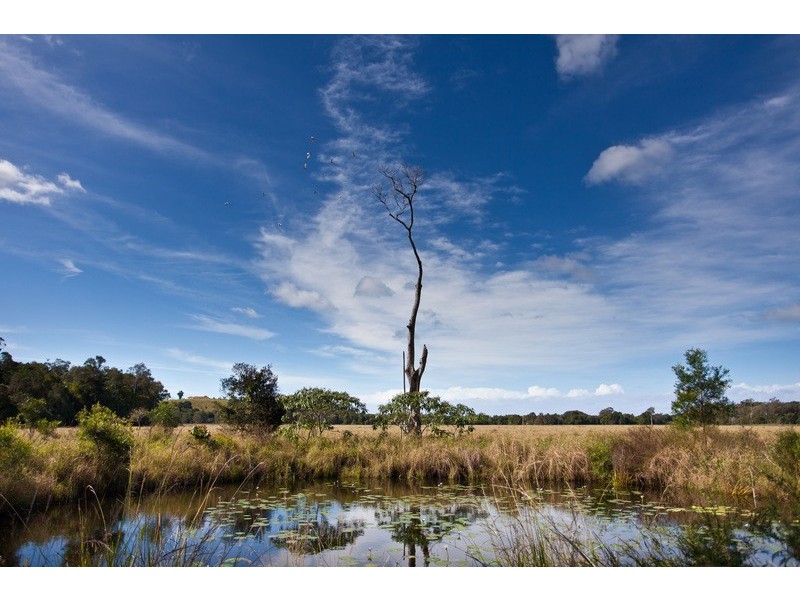 212 The Manse Road, Myocum NSW 2481