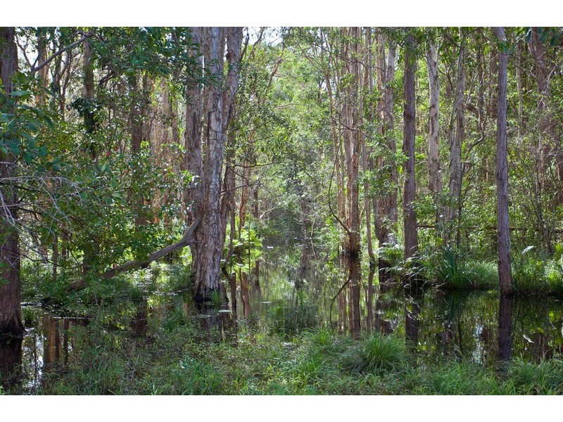 212 The Manse Road, Myocum NSW 2481