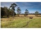 212 The Manse Road, Myocum NSW 2481