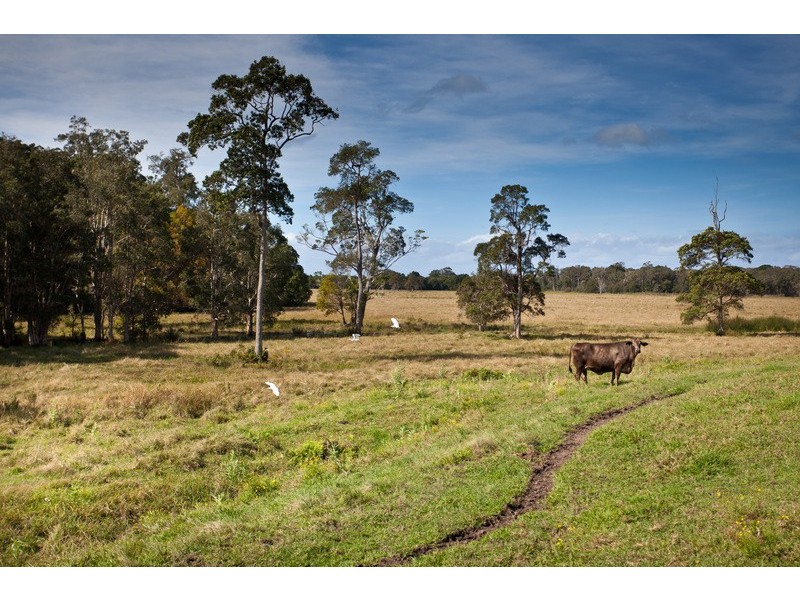 212 The Manse Road, Myocum NSW 2481