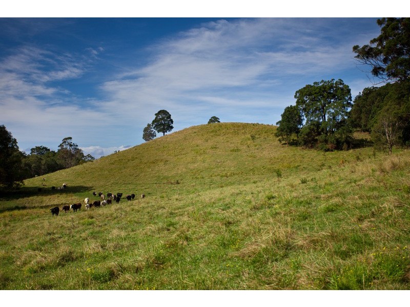 212 The Manse Road, Myocum NSW 2481