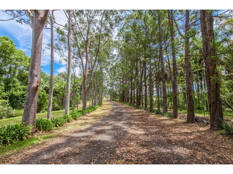 47 Emerson Road, Rosebank NSW 2480