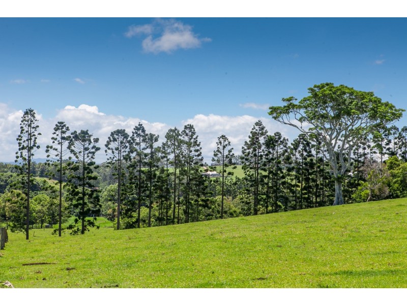 Lot 3 Old Byron Bay Road, Newrybar NSW 2479