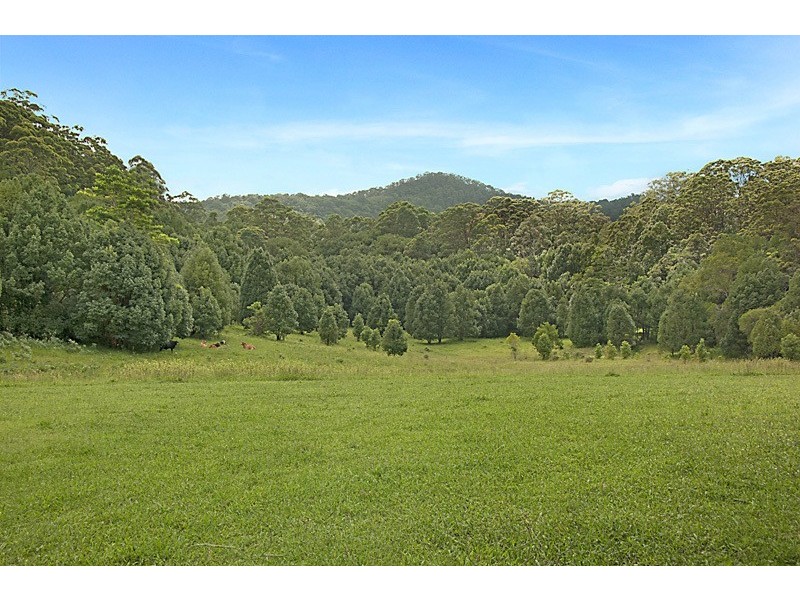 256 Main Arm Road, Mullumbimby NSW 2482