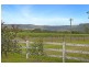 256 Main Arm Road, Mullumbimby NSW 2482