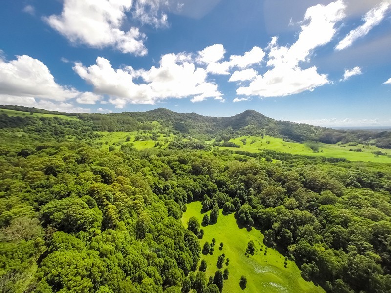 256 Main Arm Road, Mullumbimby NSW 2482