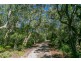 42 Tobin Close, Lennox Head NSW 2478