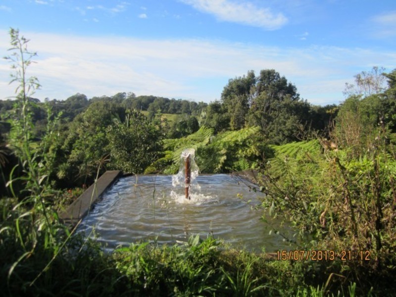 200 Fowlers lane, Bangalow NSW 2479