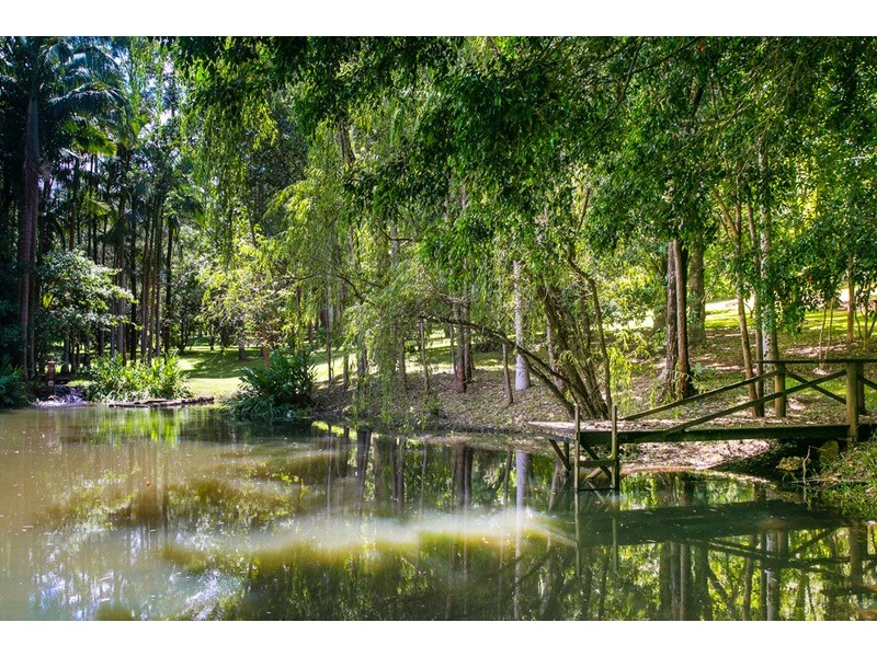 2364B  Dunoon Road, Dunoon NSW 2480