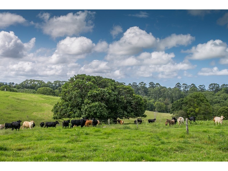 370 Federal Drive, Federal NSW 2480