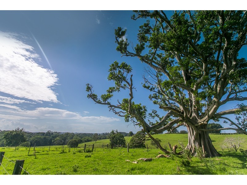 370 Federal Drive, Federal NSW 2480