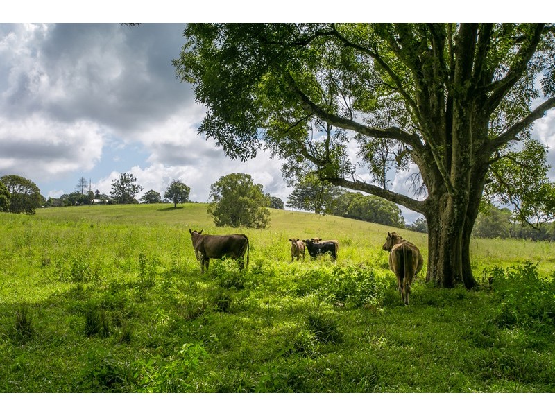 370 Federal Drive, Federal NSW 2480