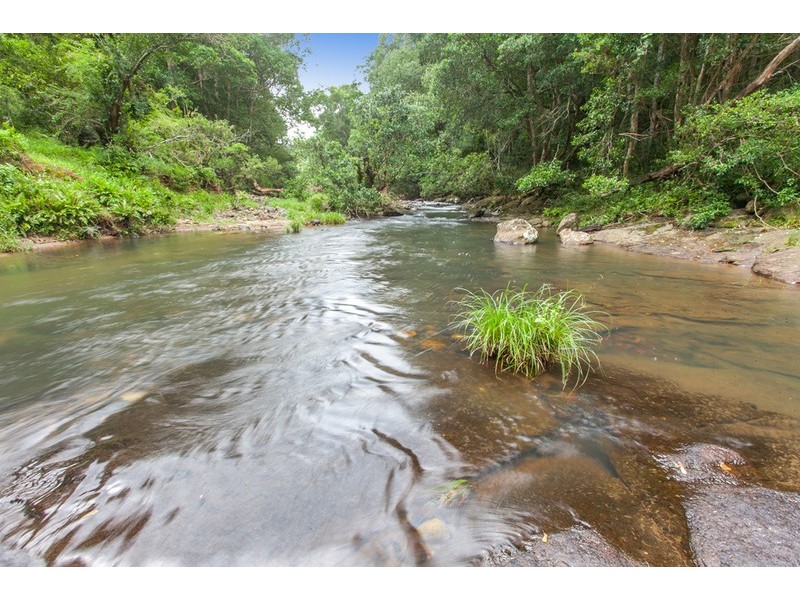 145  Repentance Creek Road, Rosebank NSW 2480